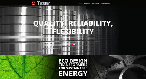 Screenshot sito Tesar